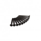 Afbeelding van 10 stuks zwarte schroeven voor scharnieren RVS, Torx 4,5 x 40 mm