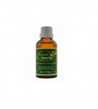 Afbeelding van Avanz Stevia Extract 100ml