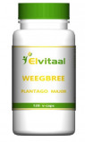 Image of Elvitaal Krill olie 500 mg (180 capsules)