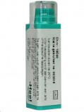 Afbeelding van Homeoden Heel Agnus castus 30CH (50 ml)